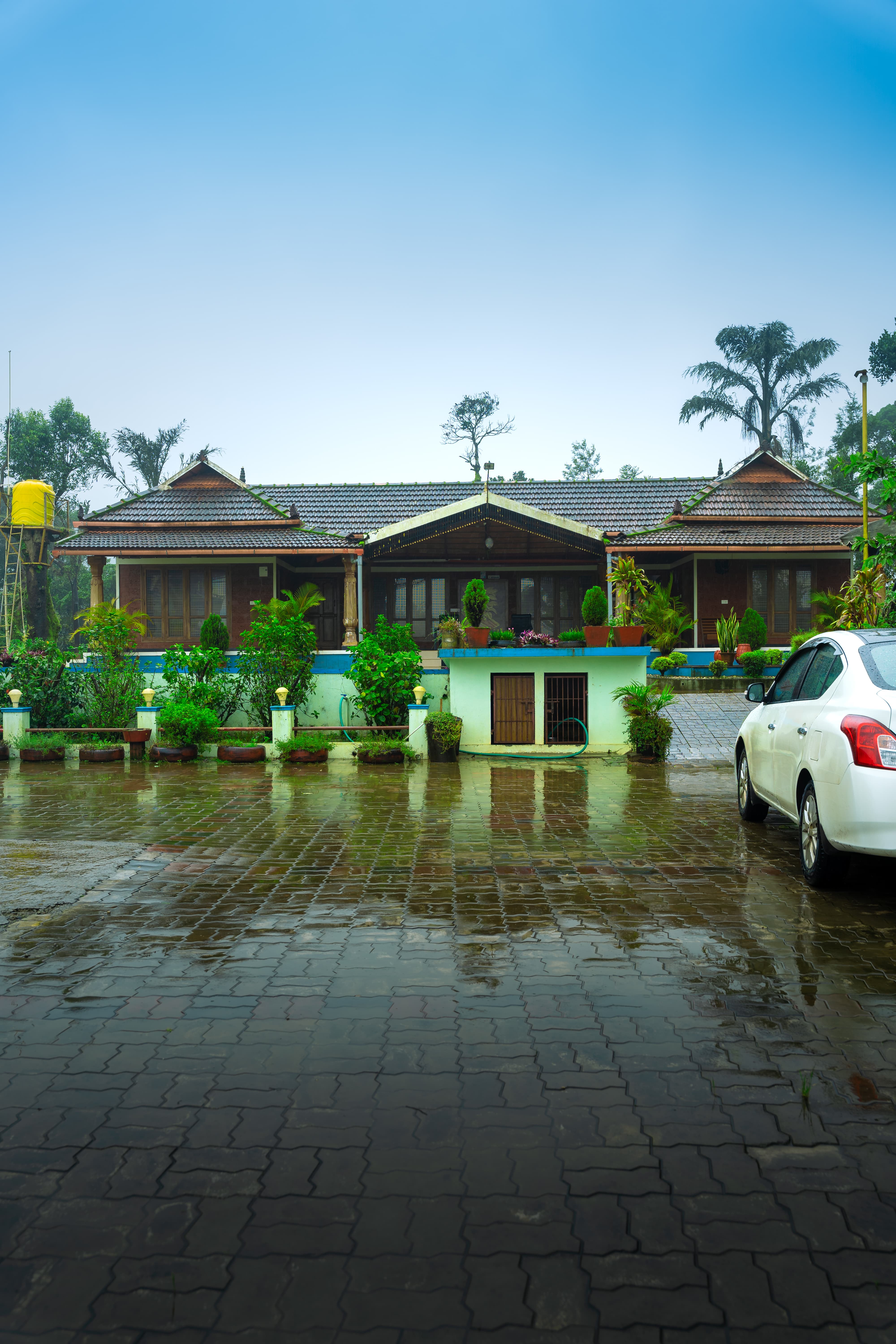 Gallery 1