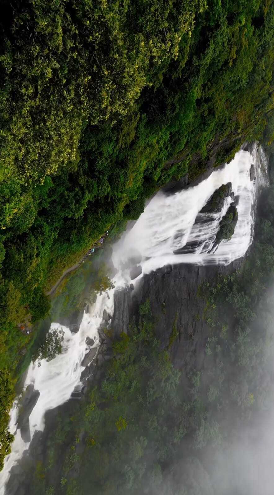 Mallalli Falls Coorg - complete travel guide