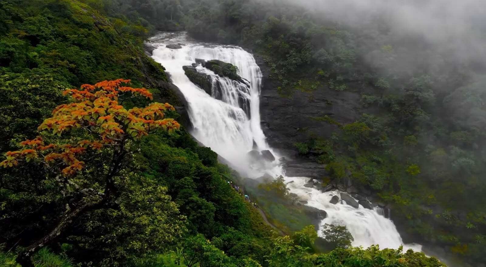 Mallalli Falls Coorg complete travel guide