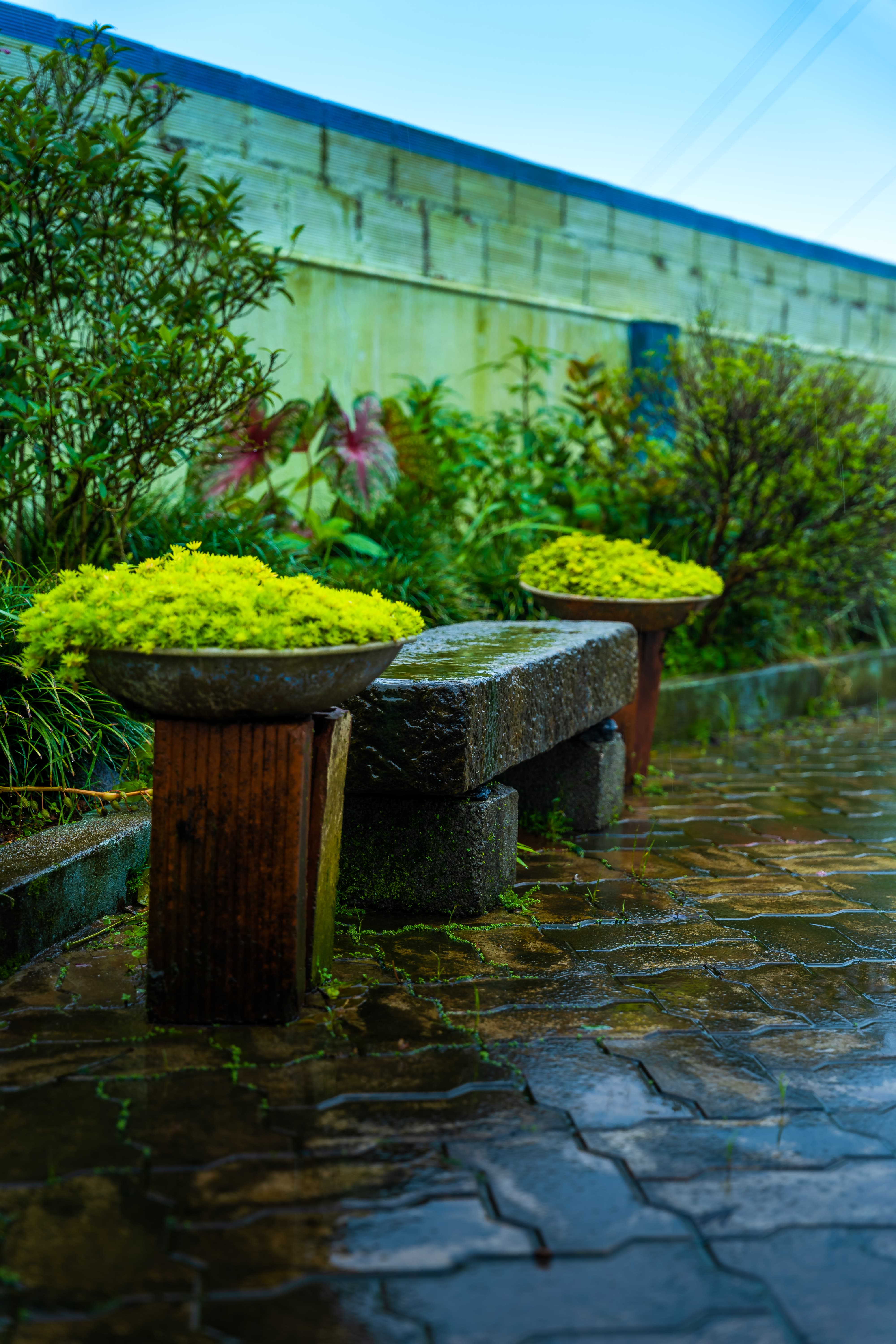 Garden Path